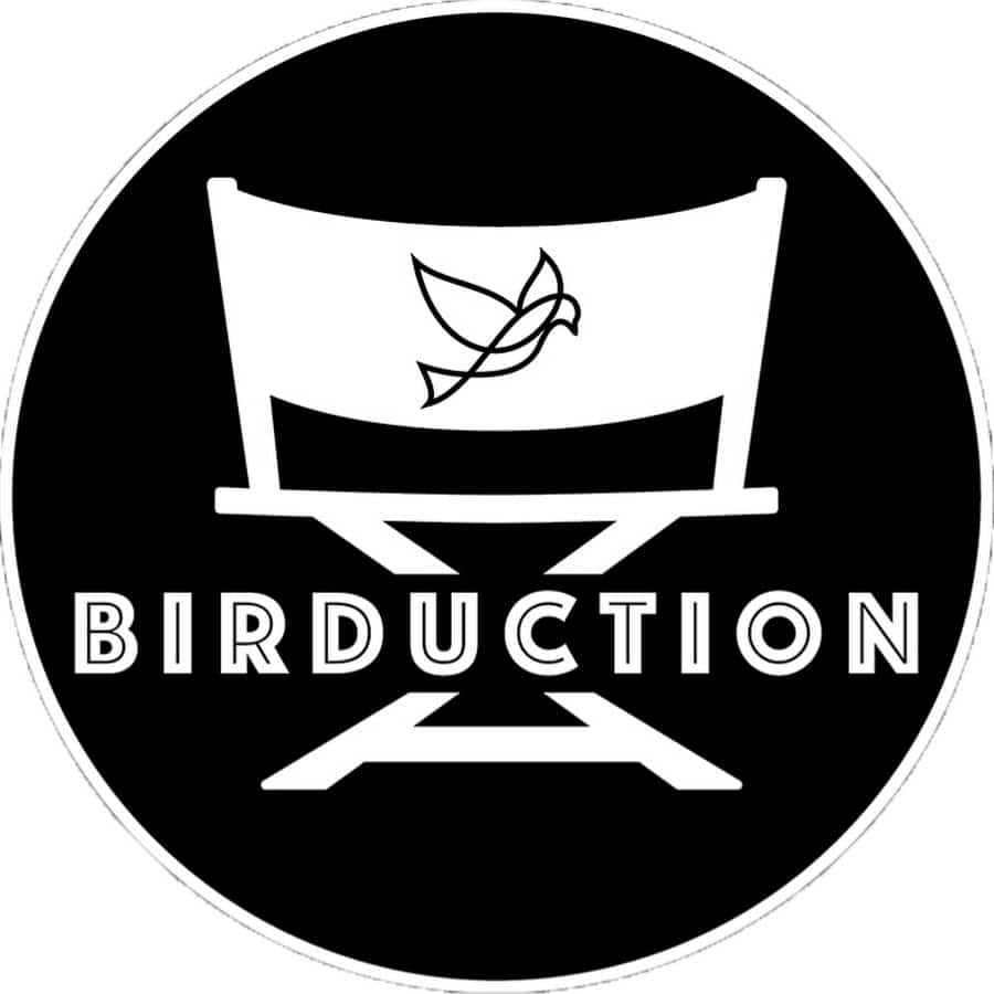 logo association Birduction. Chaise de cinéma avec une colombe dessus