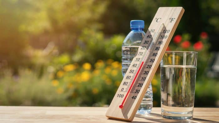 canicule