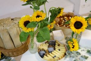 IMG_8663-2 IMG 8663 2
